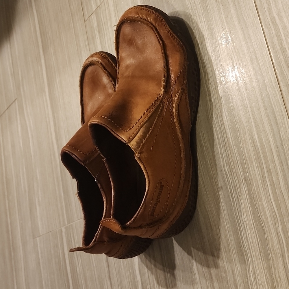 Patagonia Skywalker shoes
